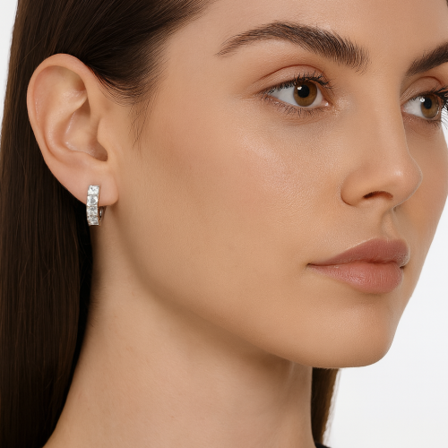 Алкице са цирконима