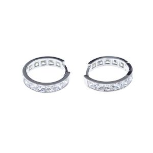 Алкице са цирконима